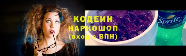 СК Каменск-Шахтинский