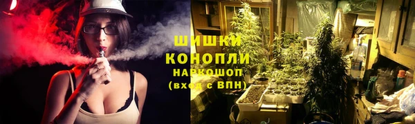 гидропоника Каменногорск