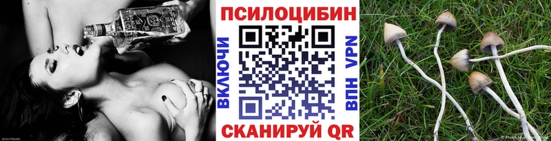 hydra ССЫЛКА  Волжск  Псилоцибиновые грибы мухоморы 